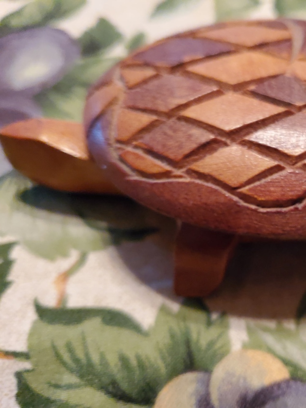 Small wooden Turkey in 2 pieces